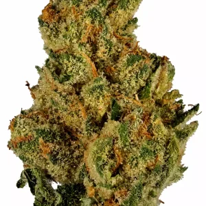 grease monkey strain