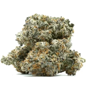 strawberry gary strain